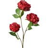 Clayre & Eef 5PL0166R Ramo decorativo con fiori rosso-verde 80 cm
