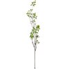 Clayre & Eef 5PL0181GR Ramo decorativo Marrone Verde 18x5x116 cm Plastica