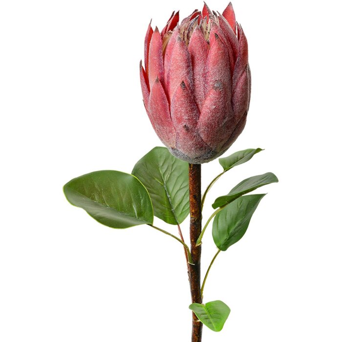 Clayre & Eef 6PL0389P Fiore artificiale Protea rosa 65 cm