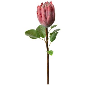 Clayre & Eef 6PL0389P Fiore artificiale Protea rosa 65 cm