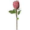 Clayre & Eef 6PL0389P Fiore artificiale Protea rosa 65 cm