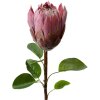 Clayre & Eef 6PL0389PA Fiore artificiale viola 65 cm
