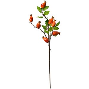 Clayre & Eef Ramo decorativo Rosa canina...