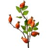 Clayre & Eef Ramo decorativo Rosa canina arancio-verde 10x8x50 cm