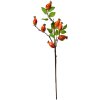 Clayre & Eef Ramo decorativo Rosa canina arancio-verde 10x8x50 cm