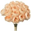 Clayre & Eef 6PL0393W Bouquet di fiori artificiali 18 rose beige 30 cm