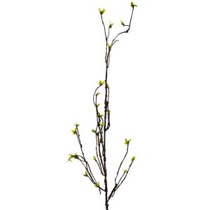Clayre & Eef 5PL0182 Ramo decorativo Marrone Verde...