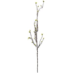 Clayre & Eef 5PL0182 Ramo decorativo Marrone Verde...