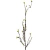 Clayre & Eef 5PL0182 Ramo decorativo Marrone Verde 8x5x116 cm