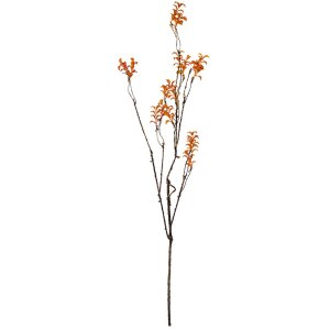 Clayre & Eef 5PL0184 Ramo decorativo arancio-marrone...