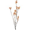 Clayre & Eef 5PL0184 Ramo decorativo arancio-marrone 110 cm plastica