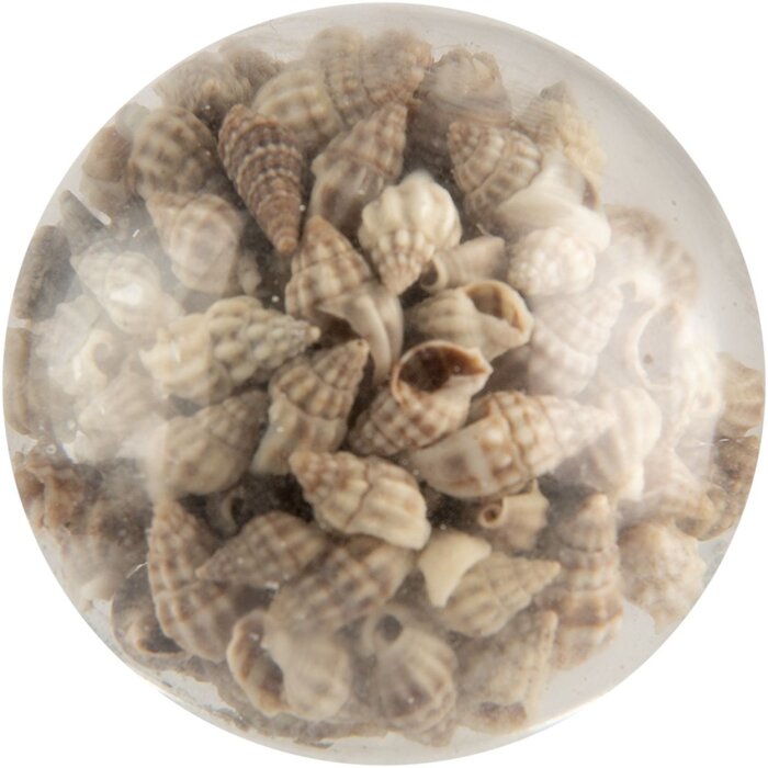 Clayre & Eef pomello per porta in vetro conchiglia beige Ø5x4 cm casa di campagna nautica