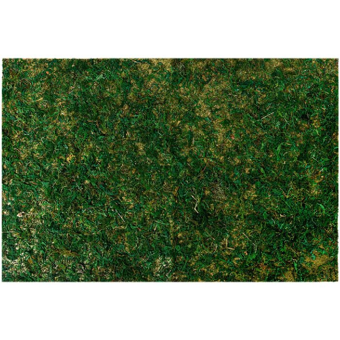 Clayre & Eef 66121 Tappeto di muschio 60x40x1 cm Decorazione in plastica verde brillante