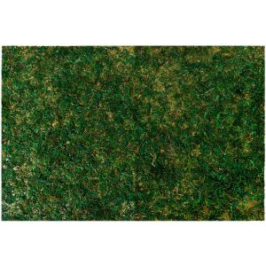 Clayre & Eef 66121 Tappeto di muschio 60x40x1 cm...