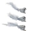 Clayre & Eef 66137 Set 3 uccelli decorativi in argento con piume 12x3x4 cm Clip