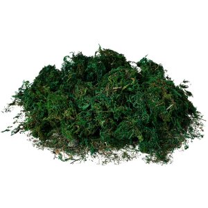Clayre & Eef 66109 Tappeto di muschio verde 40x30x1...