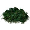 Clayre & Eef 66109 Tappeto di muschio verde 40x30x1 cm Decorazione natalizia Artigianato