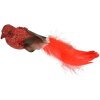 Clayre & Eef 66138 Decorazione Uccello Set di 2 Rosso Marrone 16x5x5 cm Plastica