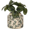 Vaso da fiori Clayre & Eef Beige-Verde Ø16x15cm in ceramica stile country Vintage