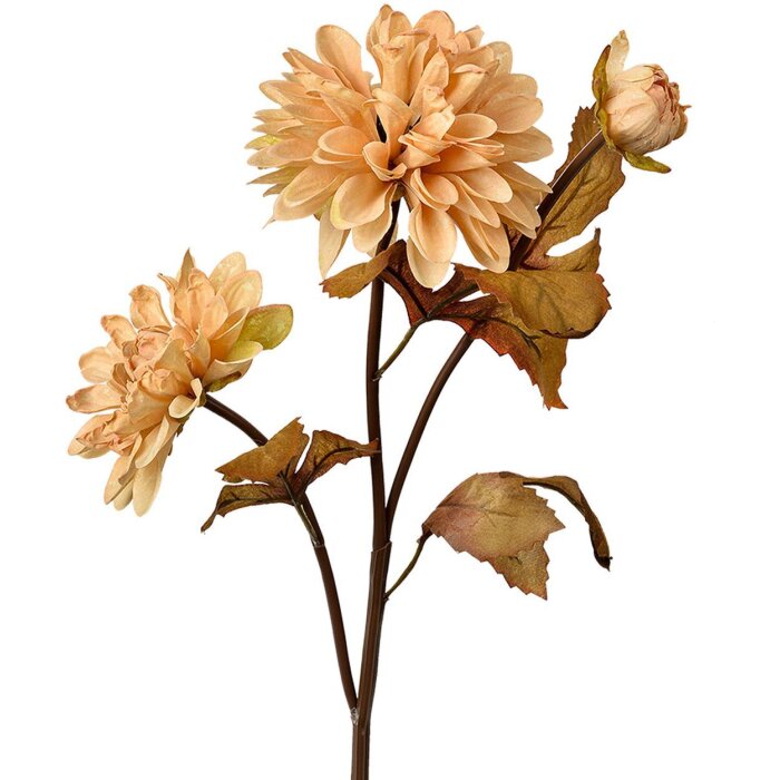 Clayre & Eef 6PL0387BE Fiore artificiale Beige Brown 10x10x66 cm