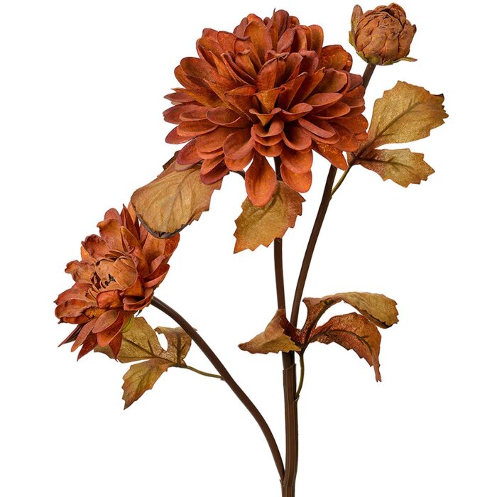 Clayre & Eef 6PL0387CH Fiore artificiale marrone 66 cm