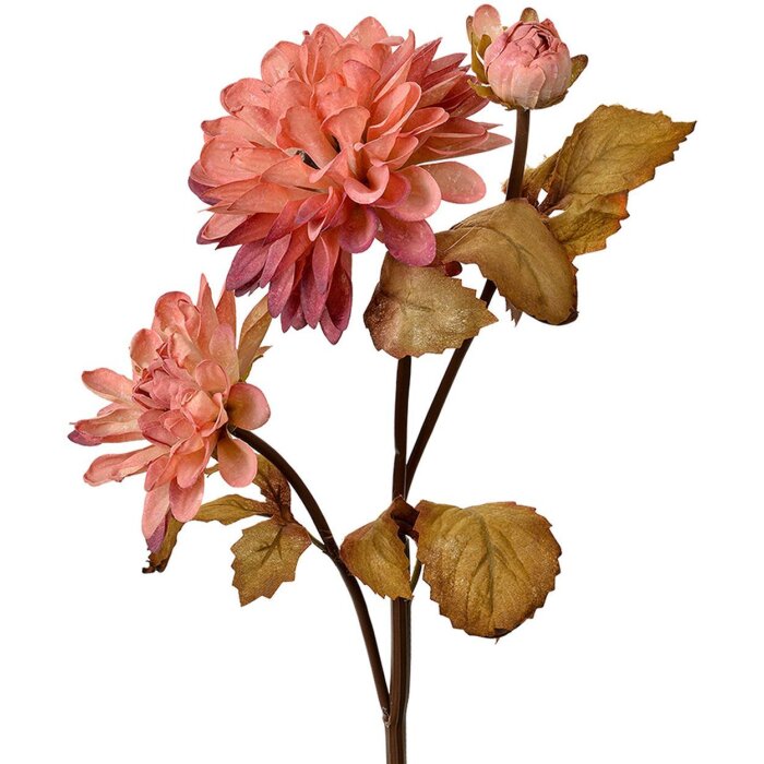 Clayre & Eef 6PL0387P Fiore artificiale rosa marrone 66 cm
