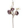 Clayre & Eef 5PL0169BL Ramo decorativo Viola Marrone 106 cm Plastica
