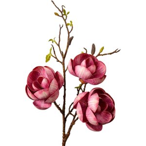 Clayre & Eef 5PL0169PA Ramo decorativo Rosa Marrone...