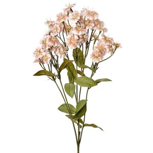 Clayre & Eef Ramo decorativo Fiori Beige Verde 8x8x63...