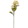 Clayre & Eef 6PL0386W Fiore artificiale Beige Verde 8x7x53 cm Plastica