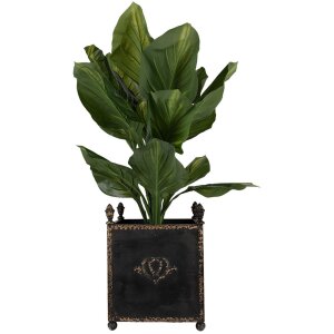 Clayre & Eef 5Y1293 Set di 2 vasi da fiori in stile barocco con interno in ferro nero