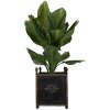 Clayre & Eef 5Y1293 Set di 2 vasi da fiori in stile barocco con interno in ferro nero