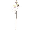 Clayre & Eef 50806 Decorazione Ramo con Farfalle Verde 14x5x85 cm