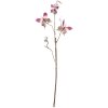 Clayre & Eef 50808 Decorazione Ramo con Farfalle Rosa 14x5x85 cm