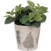 Clayre & Eef 6CETKG0001M Decorazione Fioriera Beige Verde Ø 18x16 cm