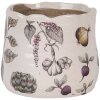 Clayre & Eef 6CETKG0001XS Vaso da fiori in ceramica beige Ø 11x10 cm Stile country