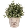 Clayre & Eef Vaso Decorativo con Motivo Cervo Ø 12x11 cm
