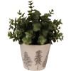 Clayre & Eef 6CENPT0001S Vaso decorativo Ø 12x11 cm