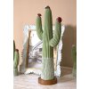 Mauro Ferretti Statuetta decorativa Cactus Stons 16,5x11x45 cm verde