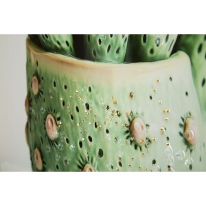 Mauro Ferretti Quadro con cornice Cactus in vaso 40x2,8x40 cm