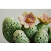 Mauro Ferretti Quadro con cornice Cactus in vaso 40x2,8x40 cm