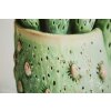 Mauro Ferretti Quadro con cornice Cactus in vaso 40x2,8x40 cm