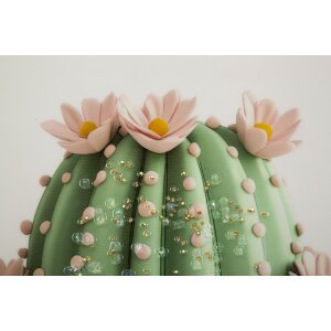 Mauro Ferretti Quadro su tela con cornice Cactus in vaso 40x2,8x40 cm