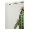 Mauro Ferretti Quadro su tela con cornice Cactus in vaso 40x2,8x40 cm