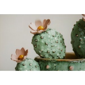 Mauro Ferretti Quadro con cornice Cactus in vaso 40x2,8x40 cm