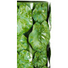 Mauro Ferretti Vaso Drop 18x17,5x46 cm