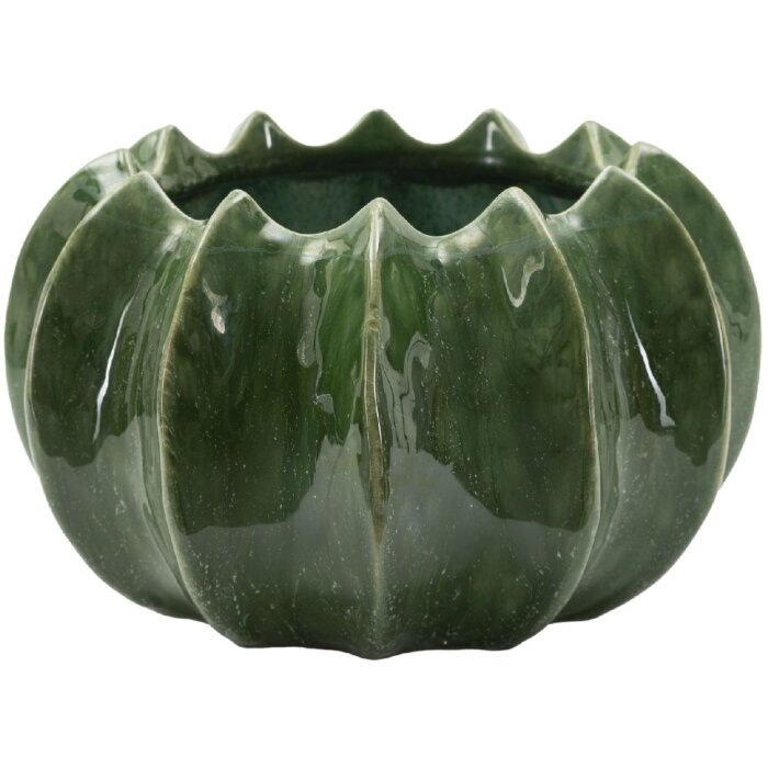 Mauro Ferretti Vaso cactus Ø 22x13,5 cm