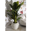 Mauro Ferretti Vaso Chil Ø 48x38 cm crema