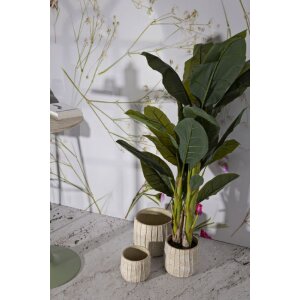 Mauro Ferretti Set 3 vasi cachepot Flocke 30,5x27/25x22,2/19,5x18 cm crema
