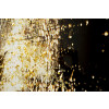 Mauro Ferretti Quadro Nairobi con cornice 52x4x102 cm